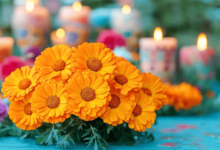 The Role of Marigolds in Day of the Dead: A Deep Dive