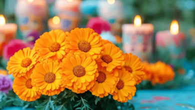 The Role of Marigolds in Day of the Dead: A Deep Dive