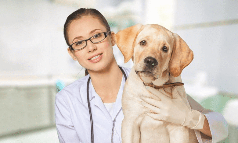 LitPet: Elevating Pet Wellness Through Herbal Innovation