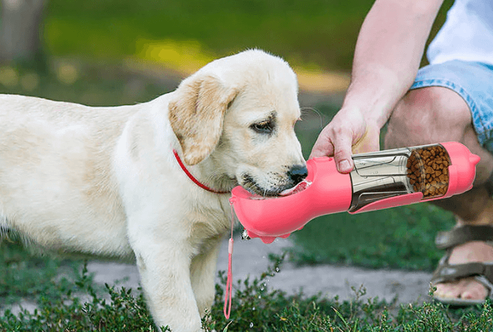 The 3 in 1 Portable Dog Water Bottle: A Smart Companion for Pet Owners