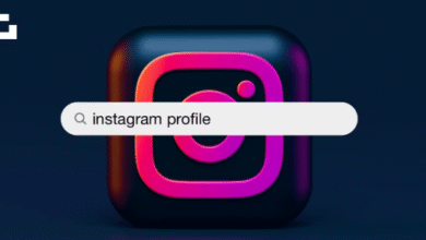 Fast Download Instagram Profile Pic Online – HD Insta DP Viewer & Saver