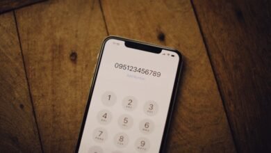 digital system integrity ledger ids