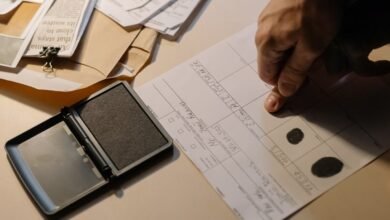 professional verification observation index identifiers