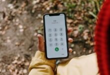 caller history review and number verification