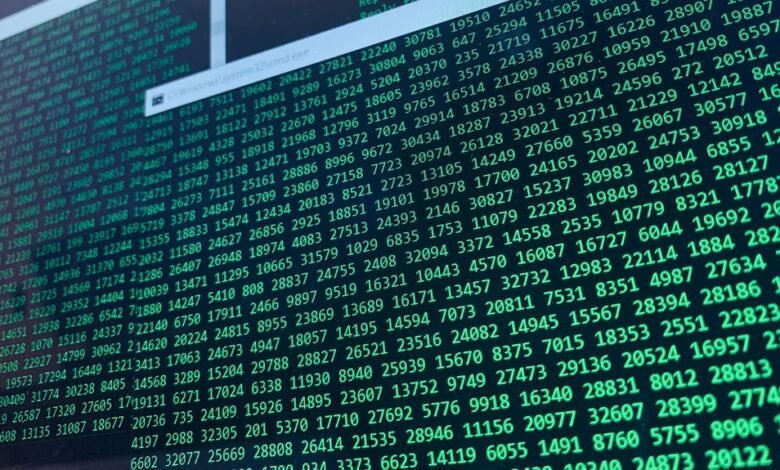 decoded identifiers reveal numerical ids decoded