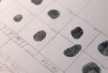 inspect public data identifiers