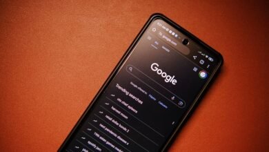 phone numbers identity search results