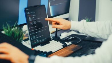 review ids and entries listed for analysis
